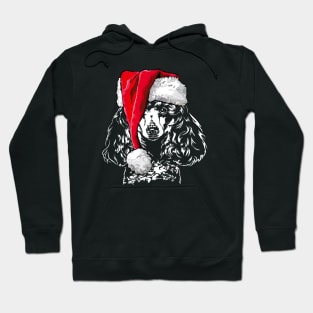 Funny Poodle Santa Christmas dog mom Hoodie